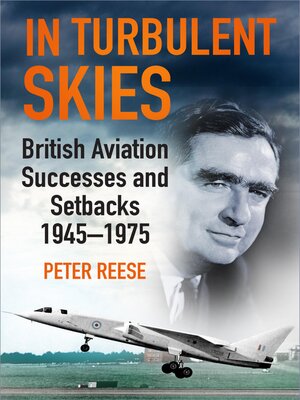 cover image of In Turbulent Skies